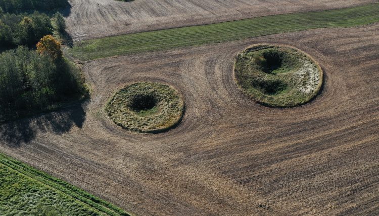 SUDARYTA DARBO GRUPĖ SMEGDUOBIŲ KLAUSIMAMS SPRĘSTI