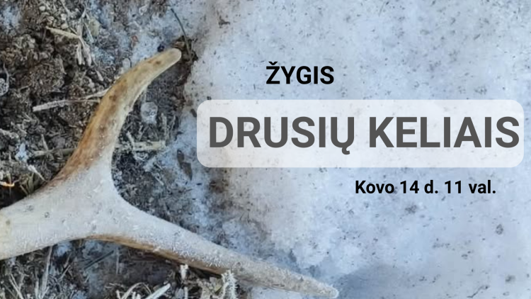 “Drusių” žygis: tarp karsto paslapčių ir knygnešių drąsos