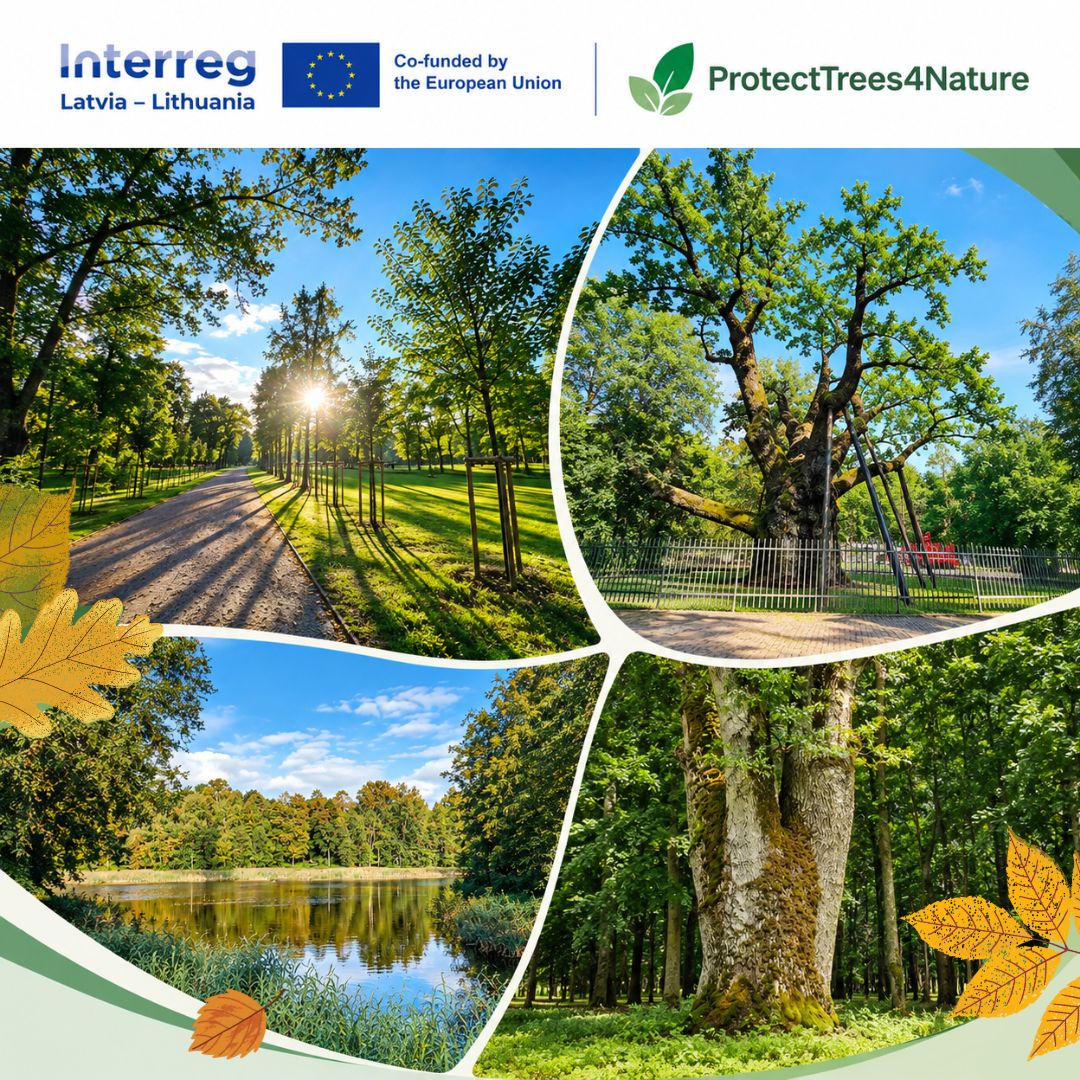 Tarptautinis projektas „ProtectTrees4Nature“ – medžių ir parkų apsaugai